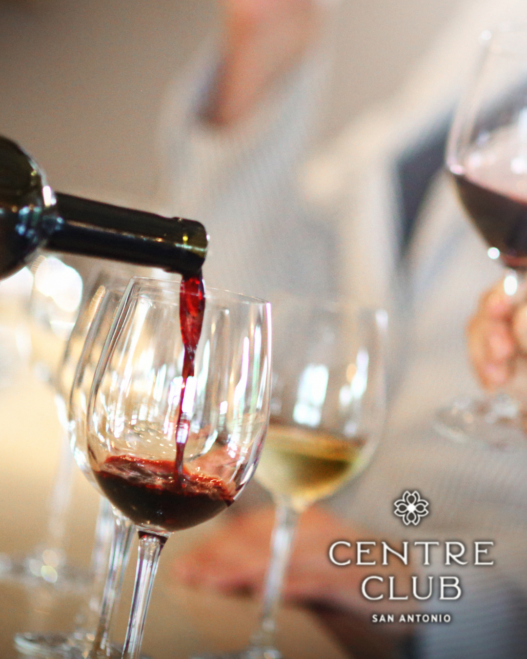 Blind Wine Tasting Experience